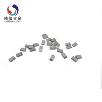 锯齿片 5516 (10)